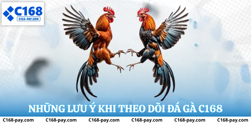Những lưu ý khi theo dõi đá gà c168