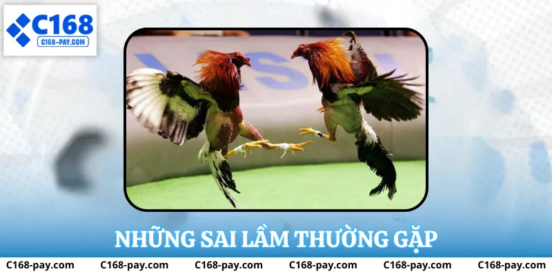 Những sai lầm thường gặp
